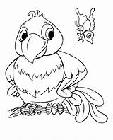 Omalovánky Parrot Butterfly Papoušek Coloring Omalovánka Cartoon Creative Pages Omalovanky Cz Vytisknutí Pro Categories A4 Birds Zdroj Pinu sketch template