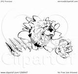 Mascot Vicious Aggressive Slashing Bear Illustration Through Wall Royalty Clipart Atstockillustration Vector Geo 2021 sketch template