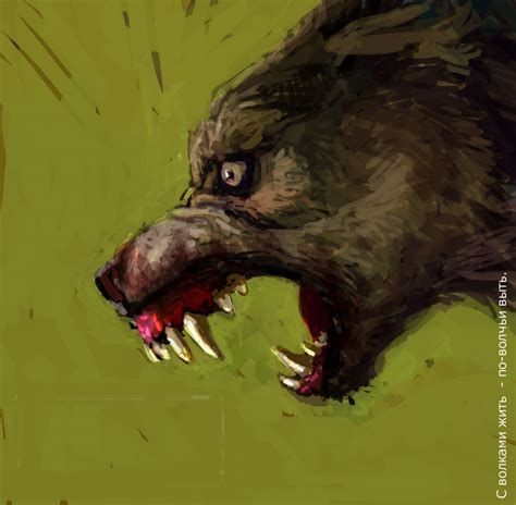Angry Wolf By Baldri On Deviantart