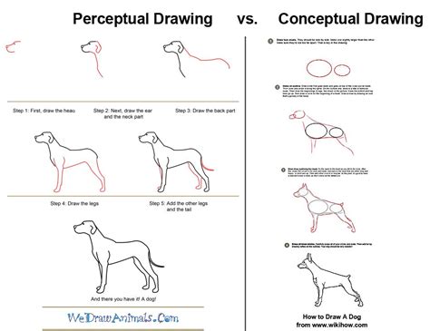 perceptual  conceptual drawing   approaches  drawing