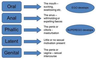 Freuds psycho sexual theory