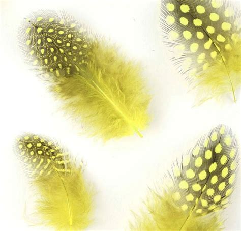 yellow feathers craft feathers  shade feather planet