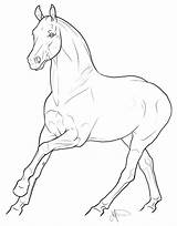 Baroque Comments Cantering Spanish Horse sketch template