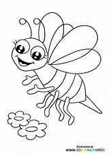 Coloring Bees Hello sketch template