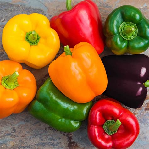 sweet bell pepper hybrid mix gardens alive