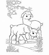 Coloring Pages Goat Momjunction Animals sketch template