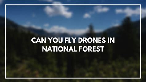 fly drones  national forest