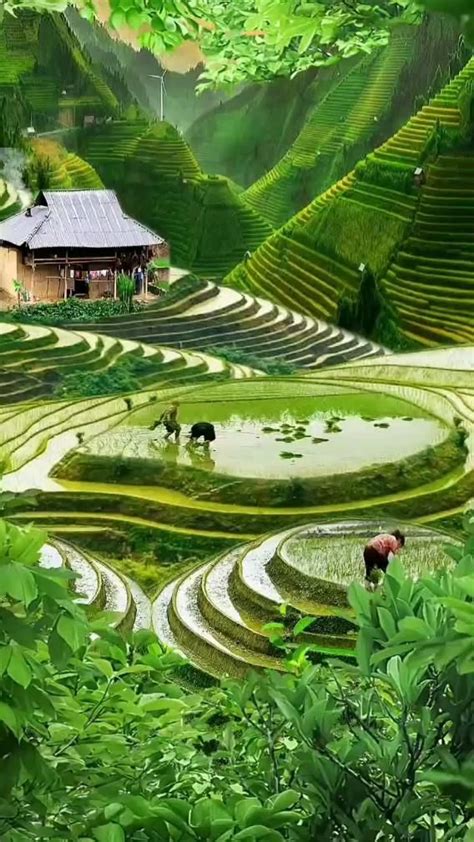 5 Eye Soothing Rice Fields You Should Visit In Bali Artofit