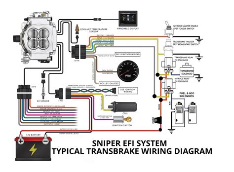 holley hp efi wiring diagram general wiring diagram