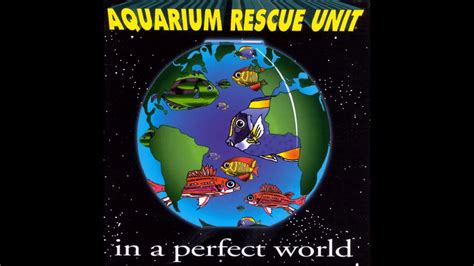 aquarium rescue unit turn   hq youtube