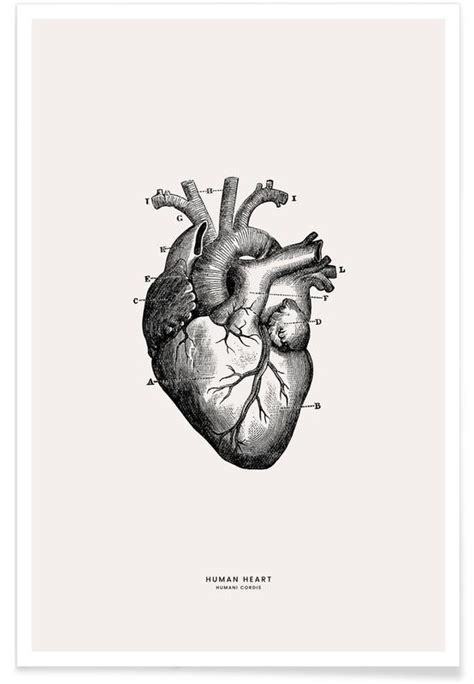 menselijk hart poster juniqe