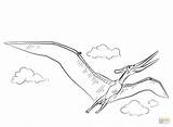 Pteranodon Coloring Pages Getcolorings Printable sketch template