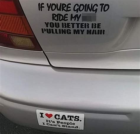 Reddit Users Share Hilarious Bumper Stickers Theyve Seen Daily Mail