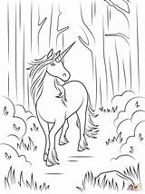 Coloring Unicorn Forest Pages Drawing sketch template
