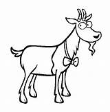 Colorat Capra Desene Goat Planse Goats Cabras Animale Domestice Capre Fise Iezi Educative Trafic sketch template