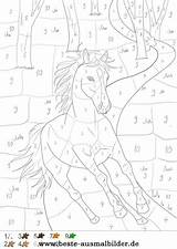 Zahlen Malen Pferd Pferde Ausdrucken Erwachsene Einhorn Vorlagen Malvorlage Malvorlagen Nummers Farben Antje Schroor Club Zeitaufwand Lektionen sketch template