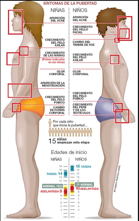 el blog de mateo adolescencia y sexualidad