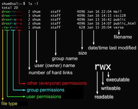 basics  linux file  directory permission management