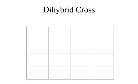 Dihybrid Punnett Square Blank Free Blank Dihybrid Cross