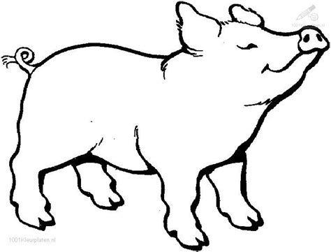 pig outline drawing  getdrawings