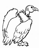 Vulture Coloring Pages Animals Desert Printable Color Kids Animal Drawing Preschool Compassion Colouring Preschoolcrafts Print Getdrawings Painting Other Click Enjoyable sketch template