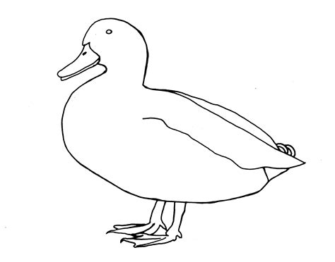 ducks unlimited pencil coloring pages