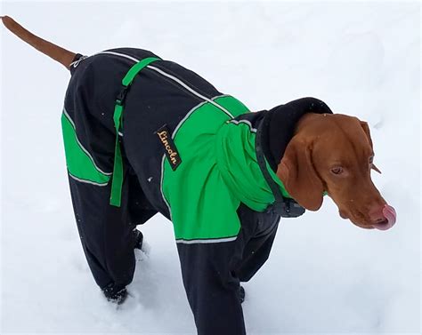 full body large breed dog snowsuit  attached boots dog snowsuit dog winter clothes dog