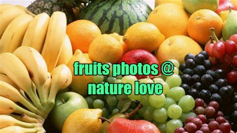 fruits   types  fruits  youtube
