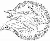 Mandalas Dolphins Delphin Meerjungfrau Dolphin Dauphin Frees Zen Stress Loudlyeccentric Delfines sketch template