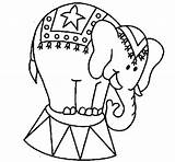 Circus Elephant Coloring Pages Performing Drawing Color Printable Getcolorings Print sketch template