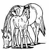 Coloring Cheval Poney Shetland Horses Ponies Ponys Coloringpagebook Ancenscp sketch template