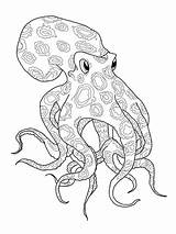 Octopus Coloring Pages Blue Ringed Printable Drawing Kids Color Adult Cartoon Shark Super Print Supercoloring Crafts Outline Animals Colouring Animal sketch template