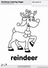 Reindeer Coloring Simple Contains sketch template