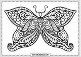 Mariposa Mariposas Navegación Rincondibujos sketch template