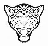 Aztec Jaguars Cheetah Dyr Nuttet Colourbox Mascot Clipartmag Cub Mondrian Einfach Zeichnung sketch template