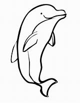 Dolphin Coloring Pages Easy Printable Getcolorings Kids Color Animal Book sketch template