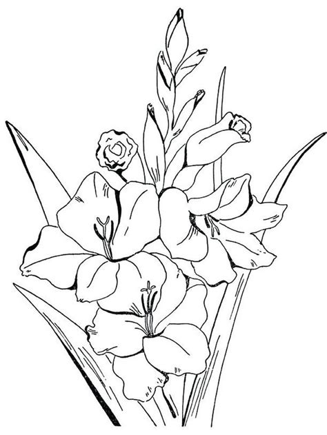 spring flower coloring page printable flower coloring pages flower
