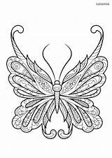 Schmetterling Malvorlage Coloriages Ausmalbilder Tiere Colorier Schmetterlinge Papillons Malvorlagen sketch template