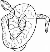 Snake Serpente Schlangen Dangerous Snakes Serpenti Tiere Schlange Malvorlagen Malvorlage Rattle Copperhead sketch template