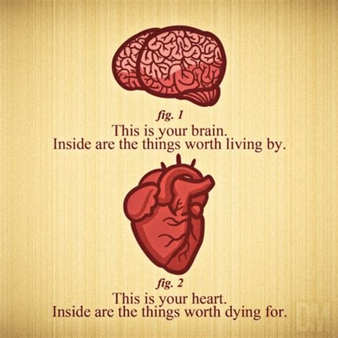 The Difference Between Thinking Mind Vs Emotional Life