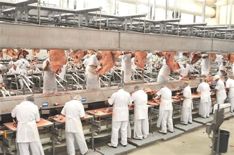 meat processing workers prioritised  covid vaccine beef central