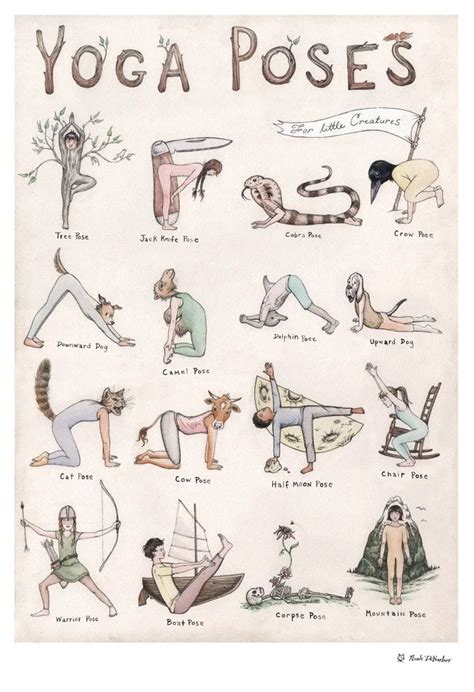 yoga poses  creatures yoga yoga posen fuer anfaenger yoga posen