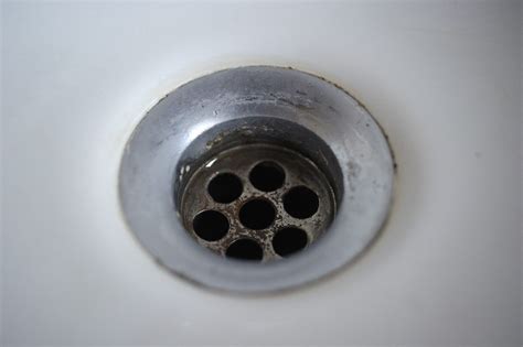 clean smelly sink drains  house advisor