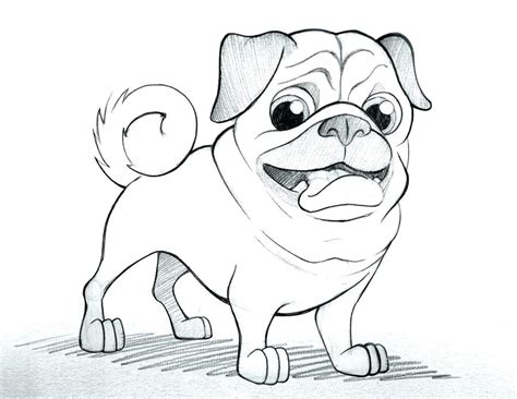 baby pug coloring pages  getcoloringscom  printable colorings pages  print  color