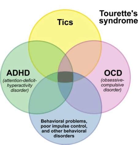 tourette syndrome  symptoms treatment schoolworkhelper