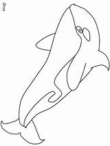 Whale Orca Coloring Pages Inuit Countries Fish Color Printable Whales Animals Online Easily Print Kids Book Library Books Advertisement sketch template