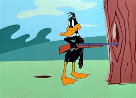 funny animated warner looney toons daffy duck tweety bug bunny s at