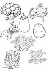 Verduras Frutas Legumes Colorir Vegetable Desenhos Fruits Povrce Saludables Worksheet Martinho Pesquisa με Voce Verdura Visitar Coloringcity από αποθηκεύτηκε sketch template