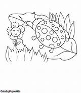 Coloring Spring Pages Kids Coloringpages Beetle Walking Site Cute Flower sketch template