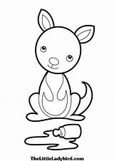Kangaroo Clipartmag Animal sketch template